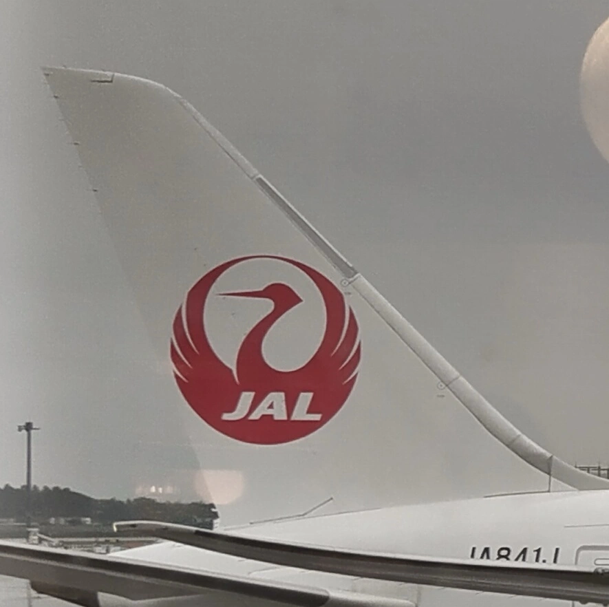 Boeing 787 at Narita