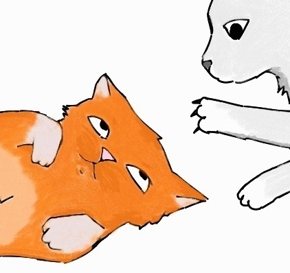 Three cats
