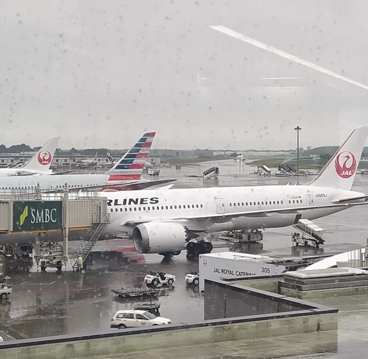 Boeing 787s at Narita