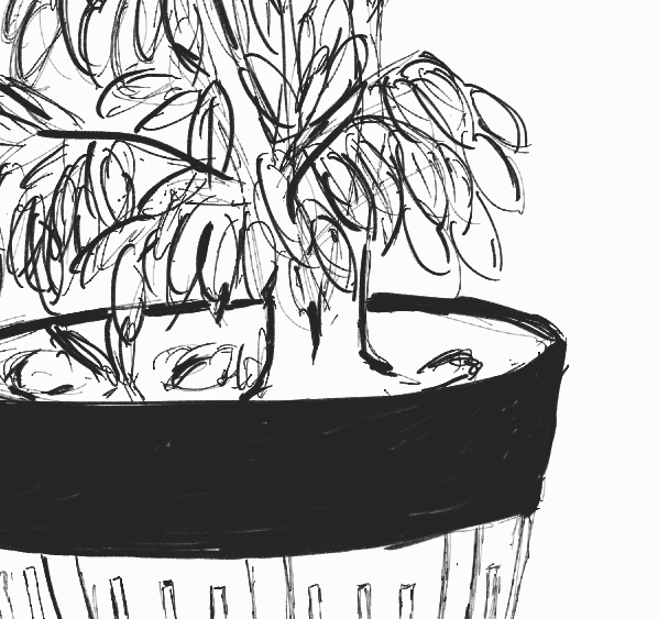 A plant